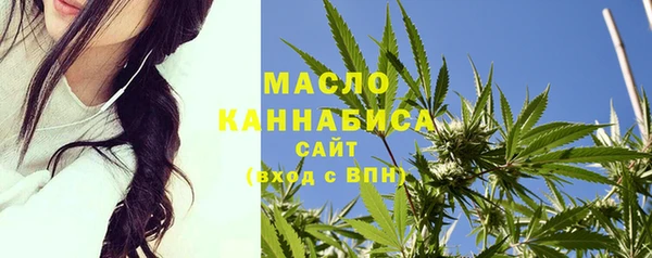 спиды Пересвет