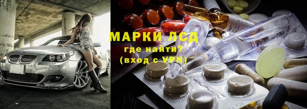 спиды Пересвет