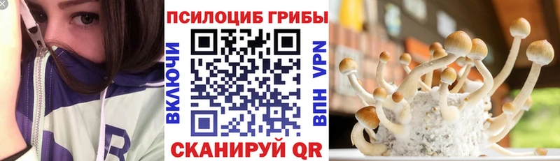 нарко площадка наркотические препараты  где найти   Пролетарск  Псилоцибиновые грибы MAGIC MUSHROOMS 